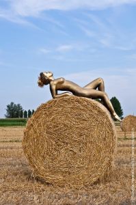 bodypainting_07_artistic-photography-naked-girl-gilded-on-bale-of-hay