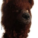 Mascotte bear costume - fur head mask